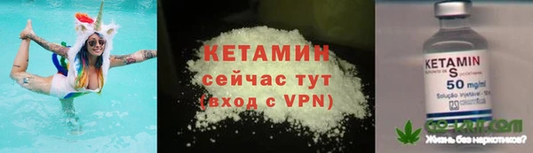 сатива Володарск