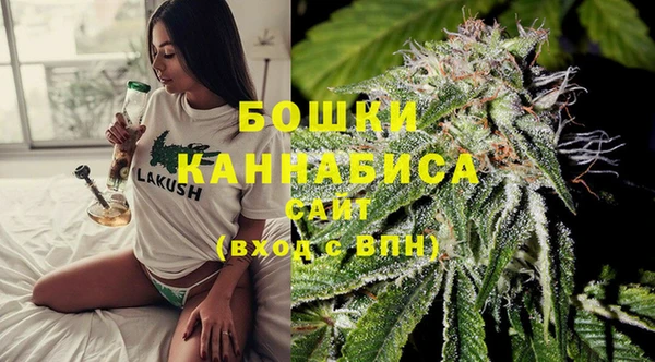 сатива Володарск